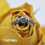 Tremun feed 1669_11zon