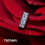 Tremun web 335_2_11zon