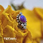 Tremun web 598_11zon