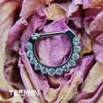 tremun web 3242#_11zon