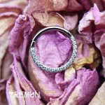 tremun web 3256#_11zon (1)