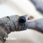 alimentazione tremun 185_3_11zon