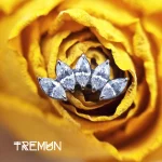 tremun web 26