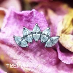 tremun web 3264_11zon