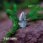 Tremun web 477_12_11zon