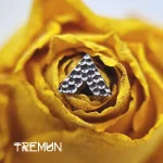 alimentazione tremun 45_11zon