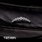 tremun web 3143_11zon