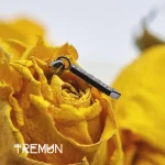 tremun web 20#_11zon