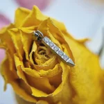 tremun web 21#_11zon