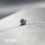 tremun web 3389_11zon