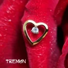 Alimentação Tremun 34_34_11zon