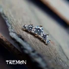 Tremun feed 47_47_11zon