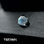 Tremun web 222_11zon