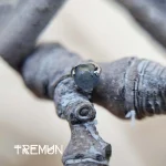 tremun feed 179_32_11zon