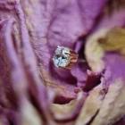 Tremun voer 244_11zon