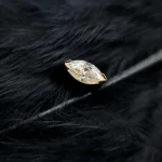 feed logo modelo_0065_Capa 72_27_11zon