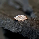 feed tremun_0047_feed logo shangri-shanga_0014_20221014_125116_45_11zon