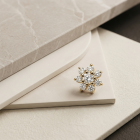 freepik_use-img1-as-the-exact-pro_2781842381