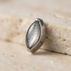 Prong Leaf Labradorite - TRM10500_1