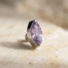 Prong Leaf Lavender - TRM10506_1