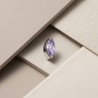 Prong Leaf Lavender - TRM10506_2