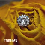 Tremun web 43_5_11zon