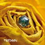 Tremun web 45_7_11zon