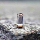 Aqua diervoeder 95 (1)