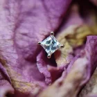 Square Prong