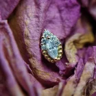 Firenze schroefdraad bovenstuk