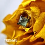 Tremun feed 1678_11zon