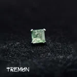 tremun web 197_2_11zon