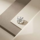 Prong Moissanite - TRM10601_1