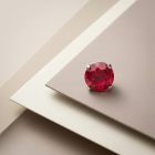 Prong Laboratory Ruby - TRM10603_2