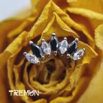 Alimentation Tremun 1516_11zon