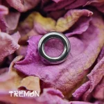 Alimentation de Tremun 1638_11zon