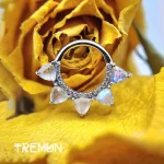 Alimentation de Tremun 1680_11zon