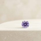 Prong SW – Lavender - TRM10619_2