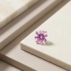 Prong SW – Purplish Pink - TRM10627_2