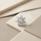 Microflower White Gold - SNG10066_1