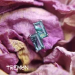 Tremun feed 2020_11zon