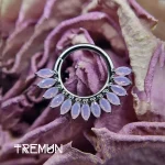 Tremun web 2031_11zon