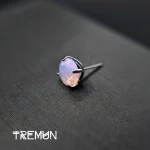 Tremun web 2033_12_11zon