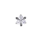 Malorie Bicolor CZ