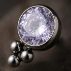 Venus Lavender - TRM10728_1