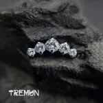 tremun web 3051_11zon (1)