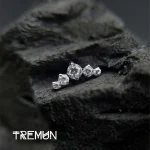 tremun web 3060_11zon (1)