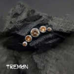 tremun web 3068_11zon