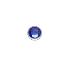 Dermal Top - SW Crystal Sapphire