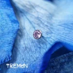 tremun web 3350_11zon